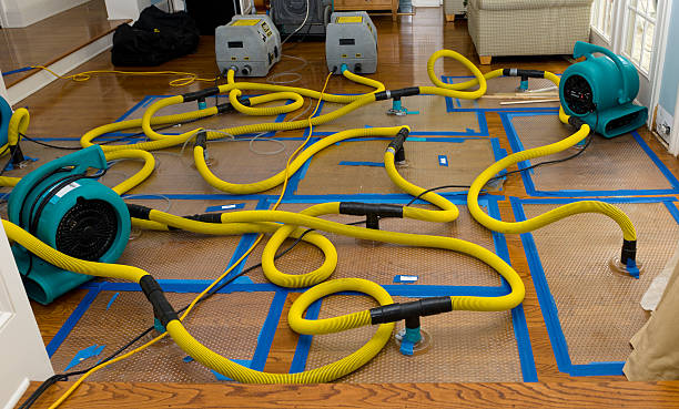 Professional Sewage Cleanup technician working in Trenton, MO